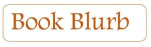 book blurb