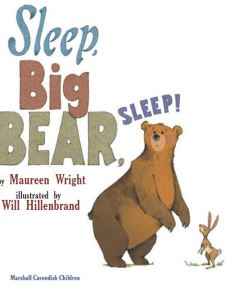 Book Review: Sleep, Big Bear, Sleep!
